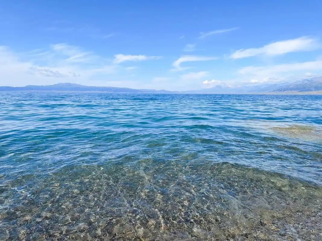 Sayram Lake north shore scenic view with alpine forest