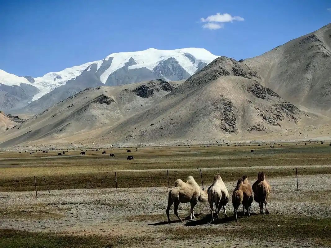 Heavenly Lake Xinjiang best season to visit scenic spots