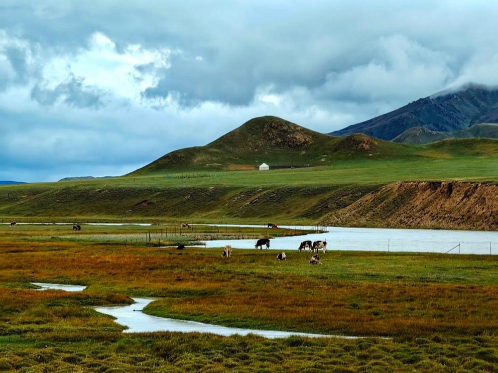 Tianger Grassland Xinjiang attraction scenic prairie view