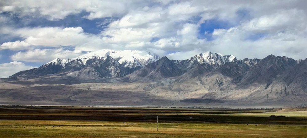 Open grassland and distant snow peaks along a Xinjiang mountain road at midday