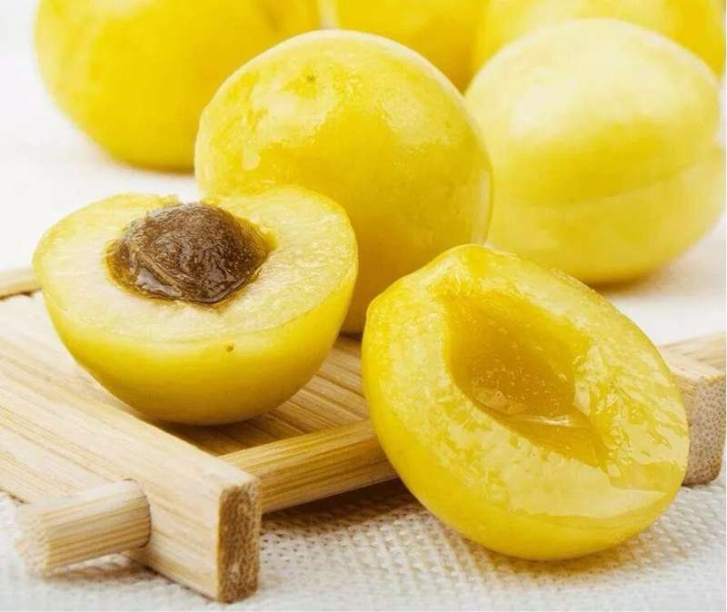 Hami Melon & Fruits travel view, Xinjiang attraction
