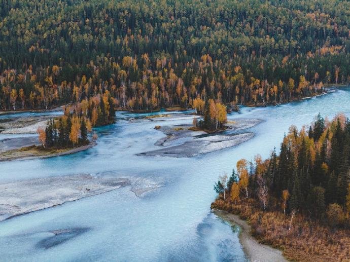 Kanas scenic area in autumn colors