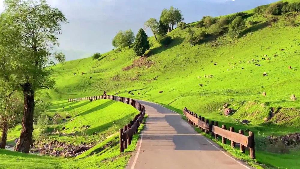 Alpine lake and grassland landscape in Xinjiang