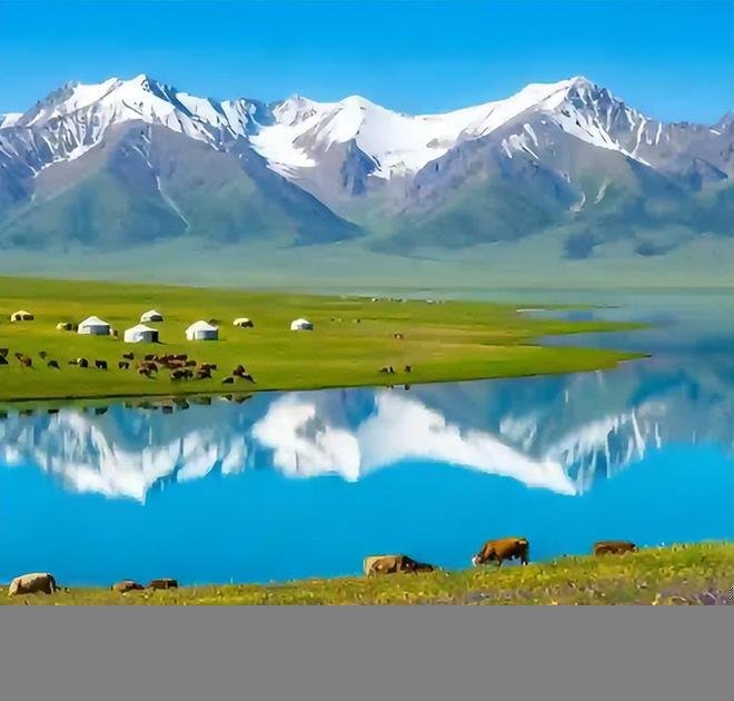 Dog on a Xinjiang road trip