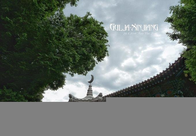 Xinjiang grassland photograph