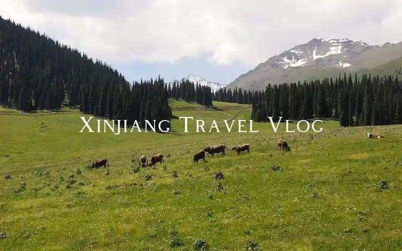 Acclimatization on the plateau